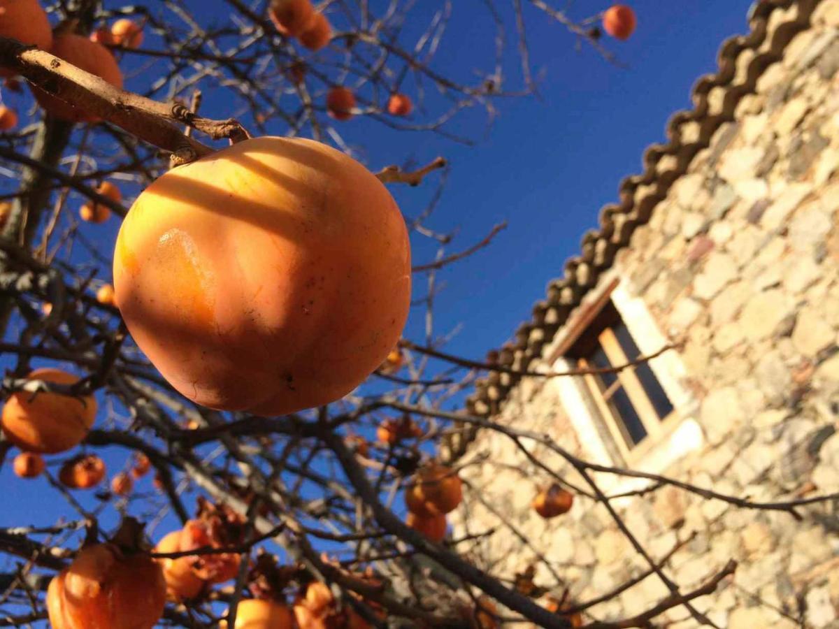 Masia De Vallforners Tagamanent Exterior photo