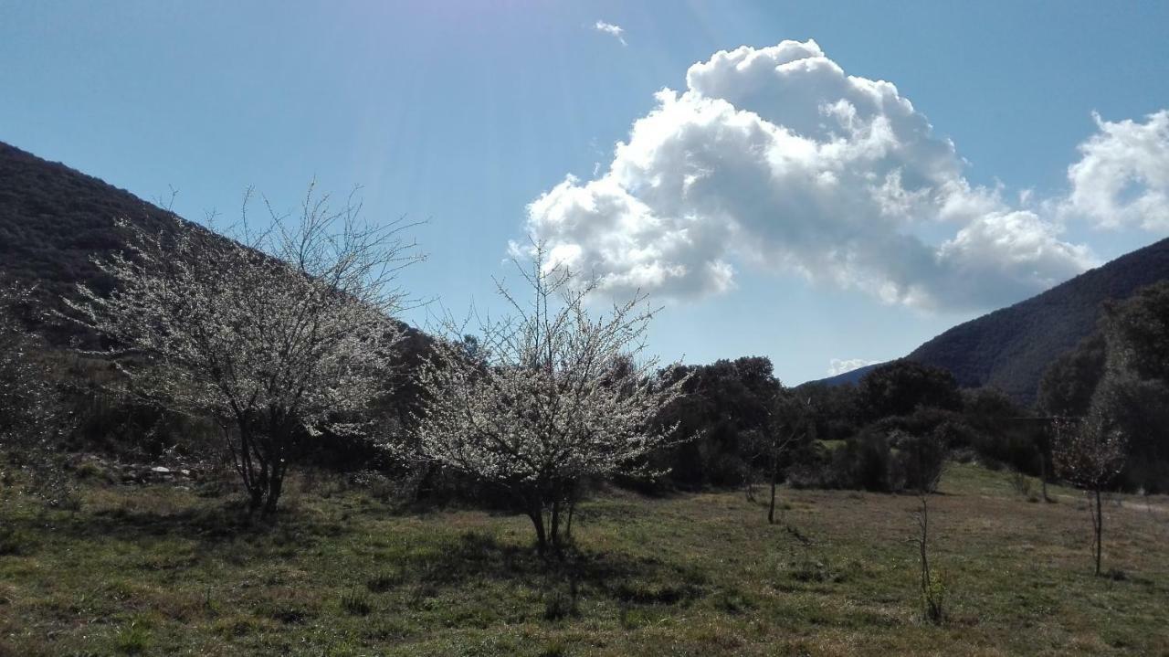 Masia De Vallforners Tagamanent Exterior photo